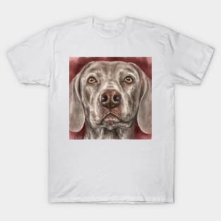 Painting of a Grey Brown Weimaraner Dog Looking At You on Red Background T-Shirt